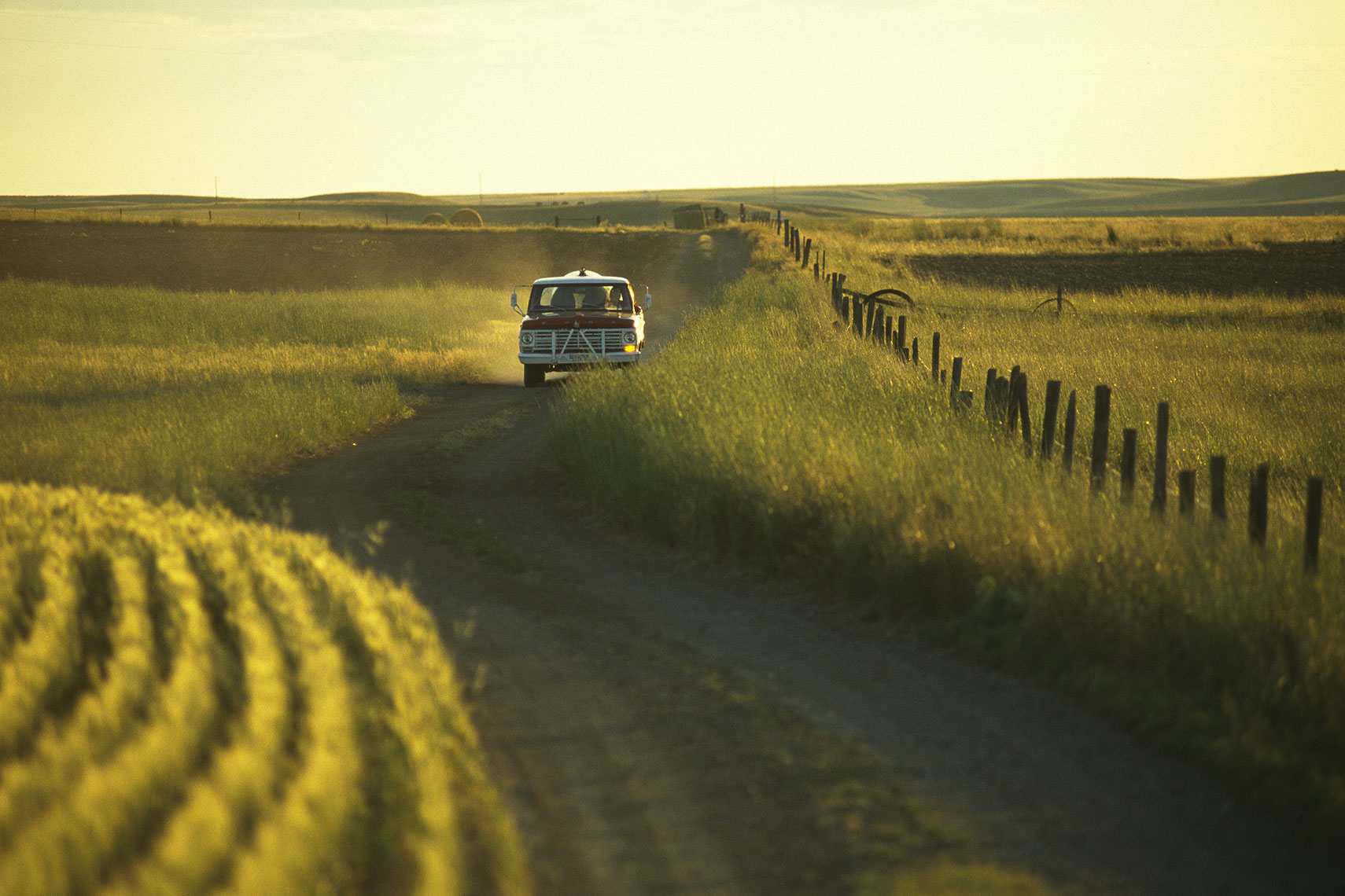 Lynn Donaldson | Photographer